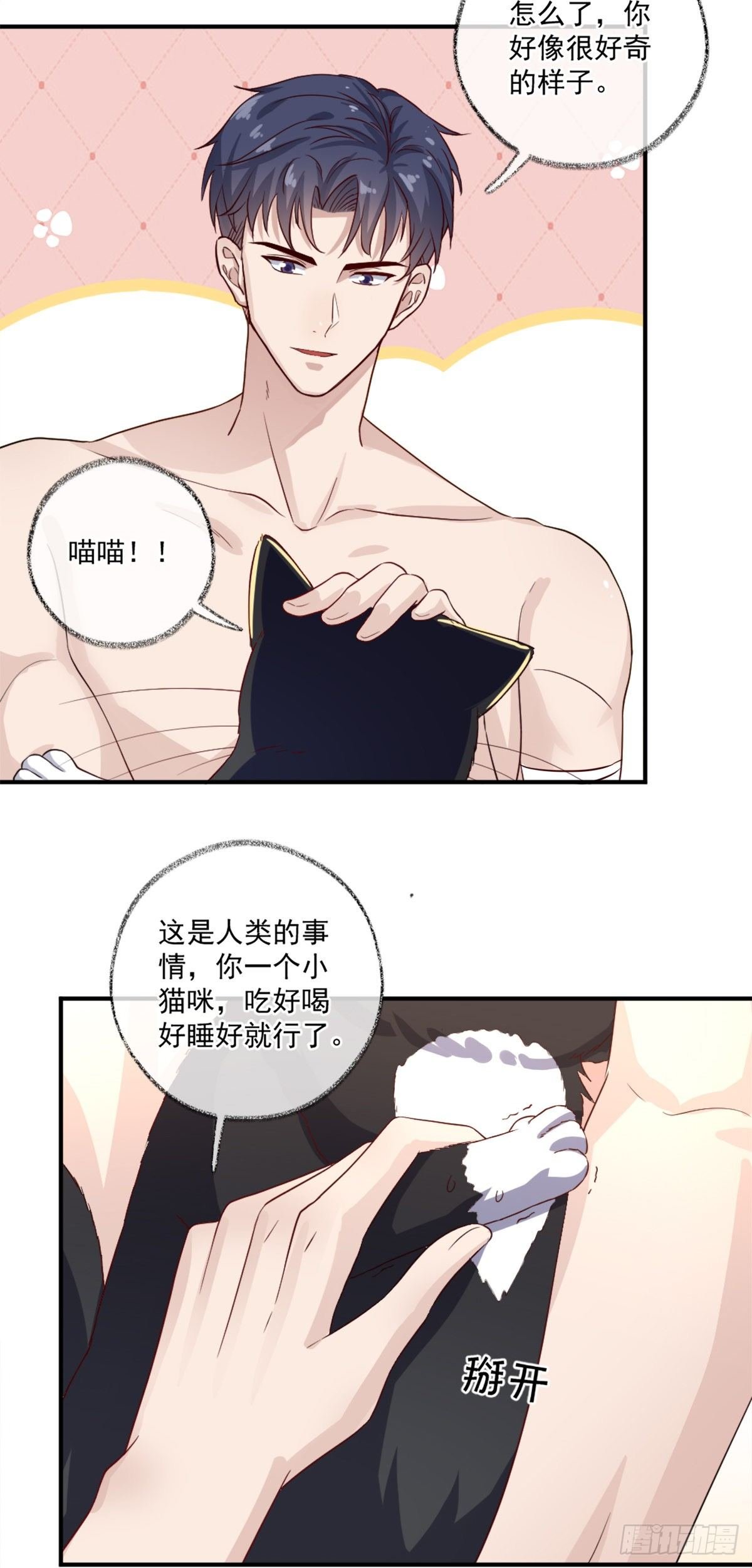就要和你在一起喵~