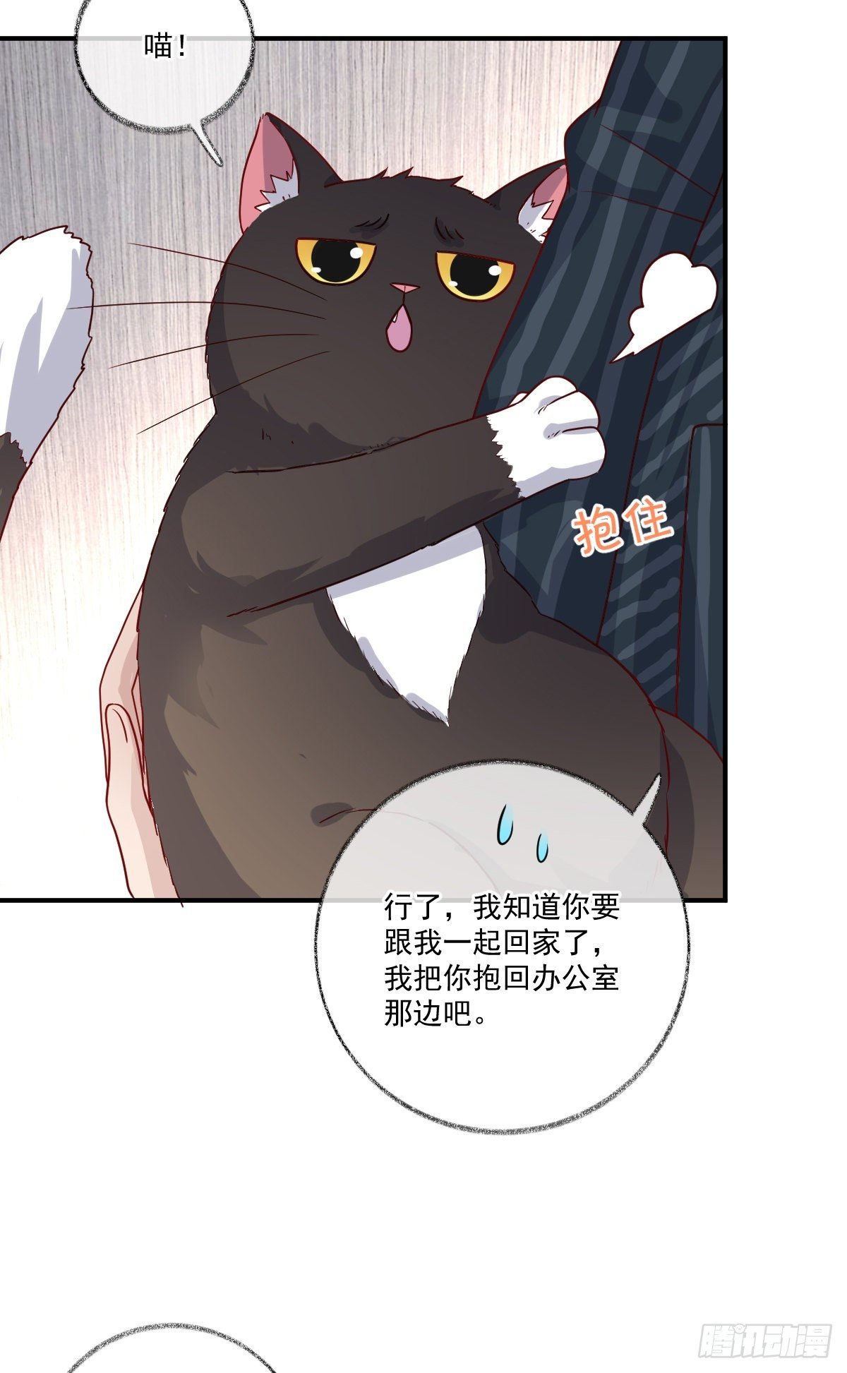 生气了哄不好喵~