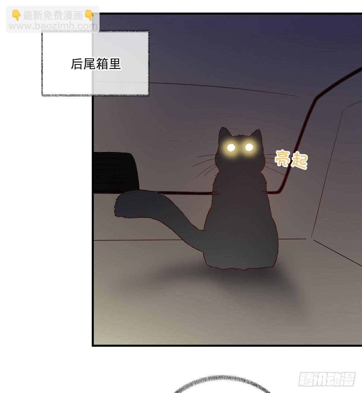 生气了哄不好喵~