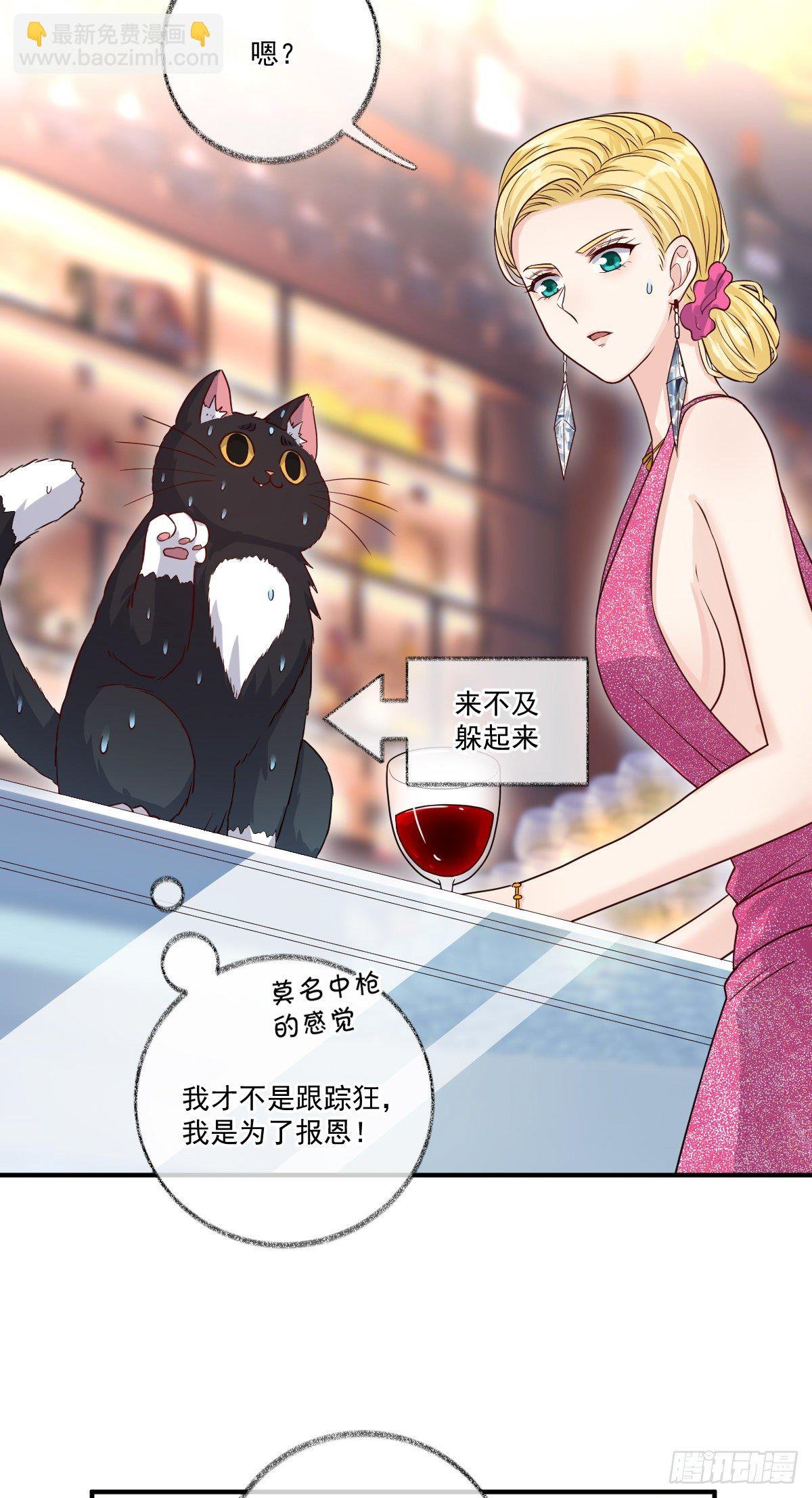 生气了哄不好喵~