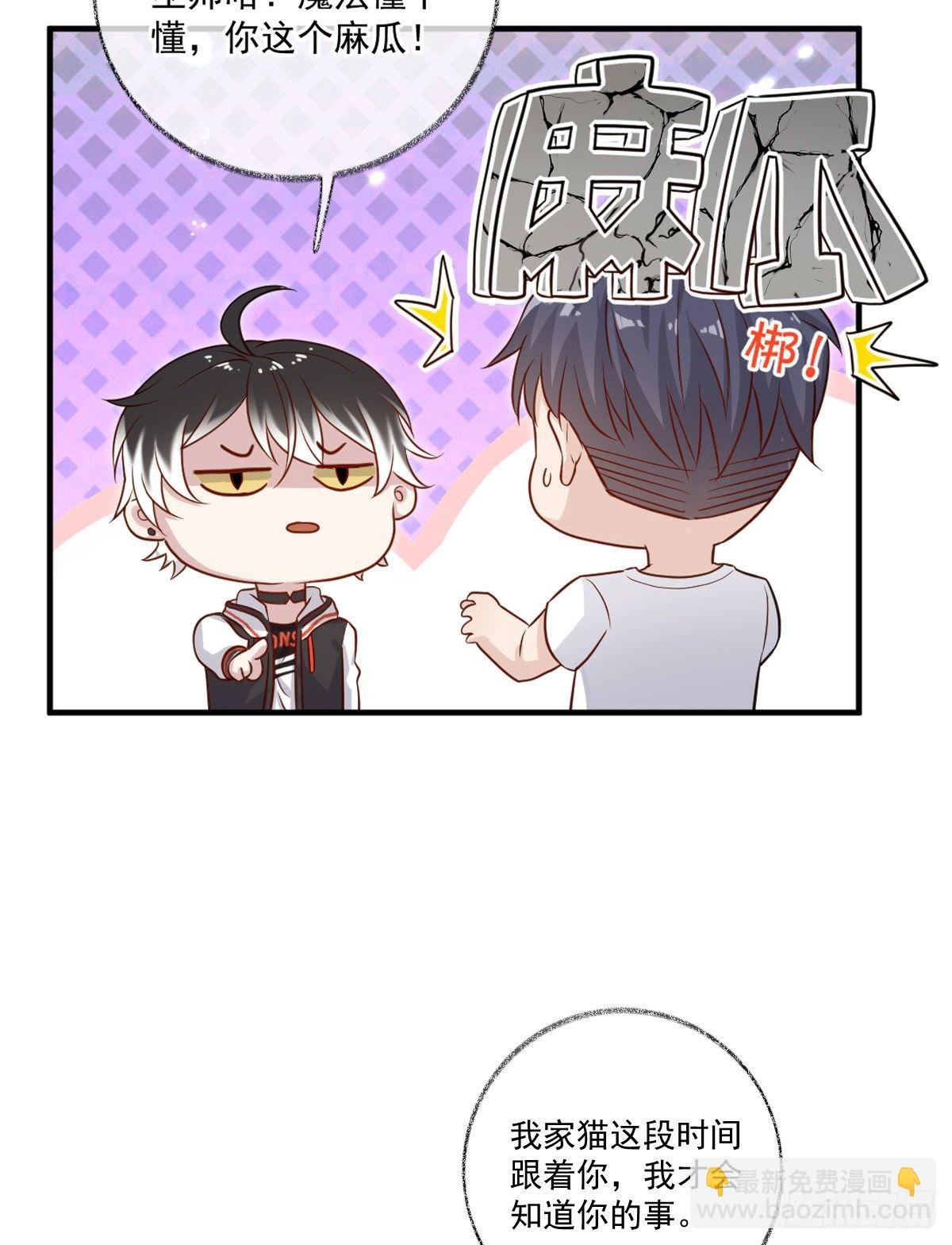 我养你喵~