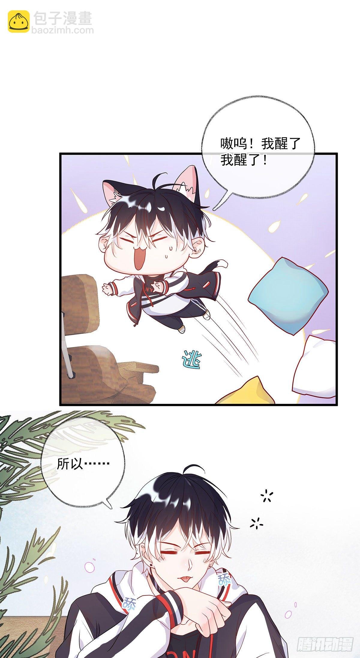 最后的晚餐喵~