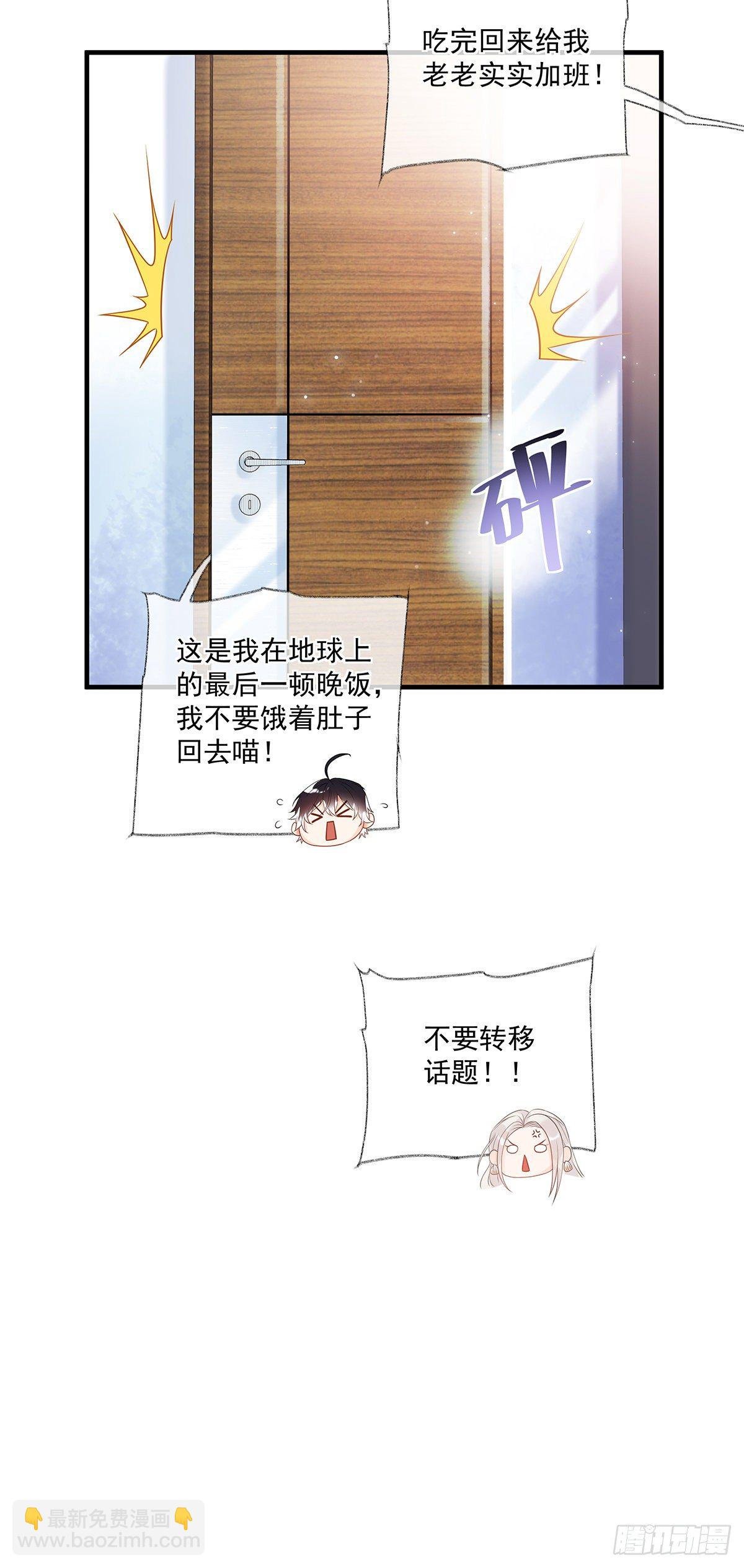 最后的晚餐喵~