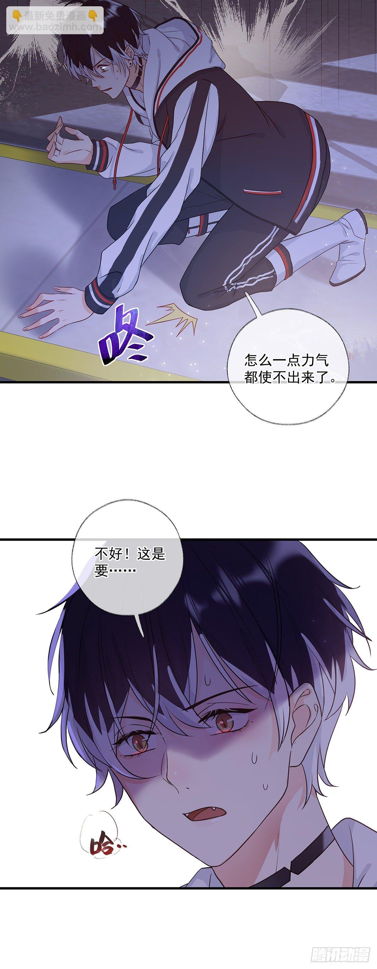 最后的晚餐喵~