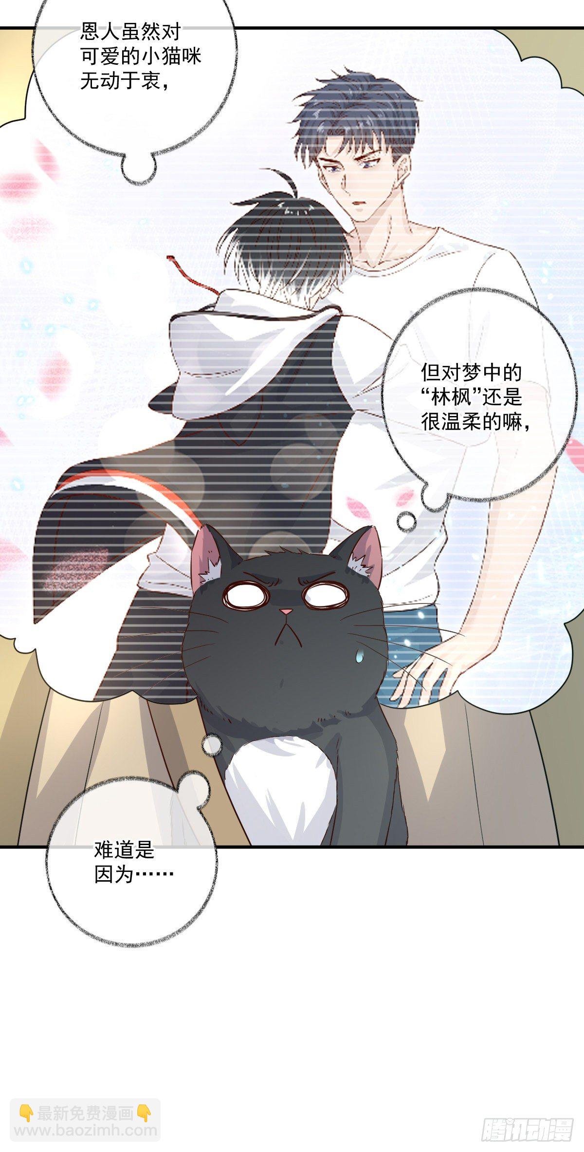我不绝育喵！