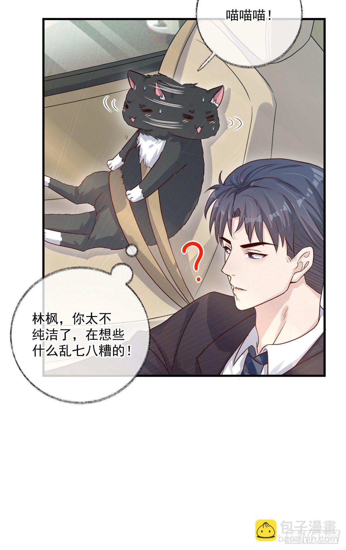 我不绝育喵！