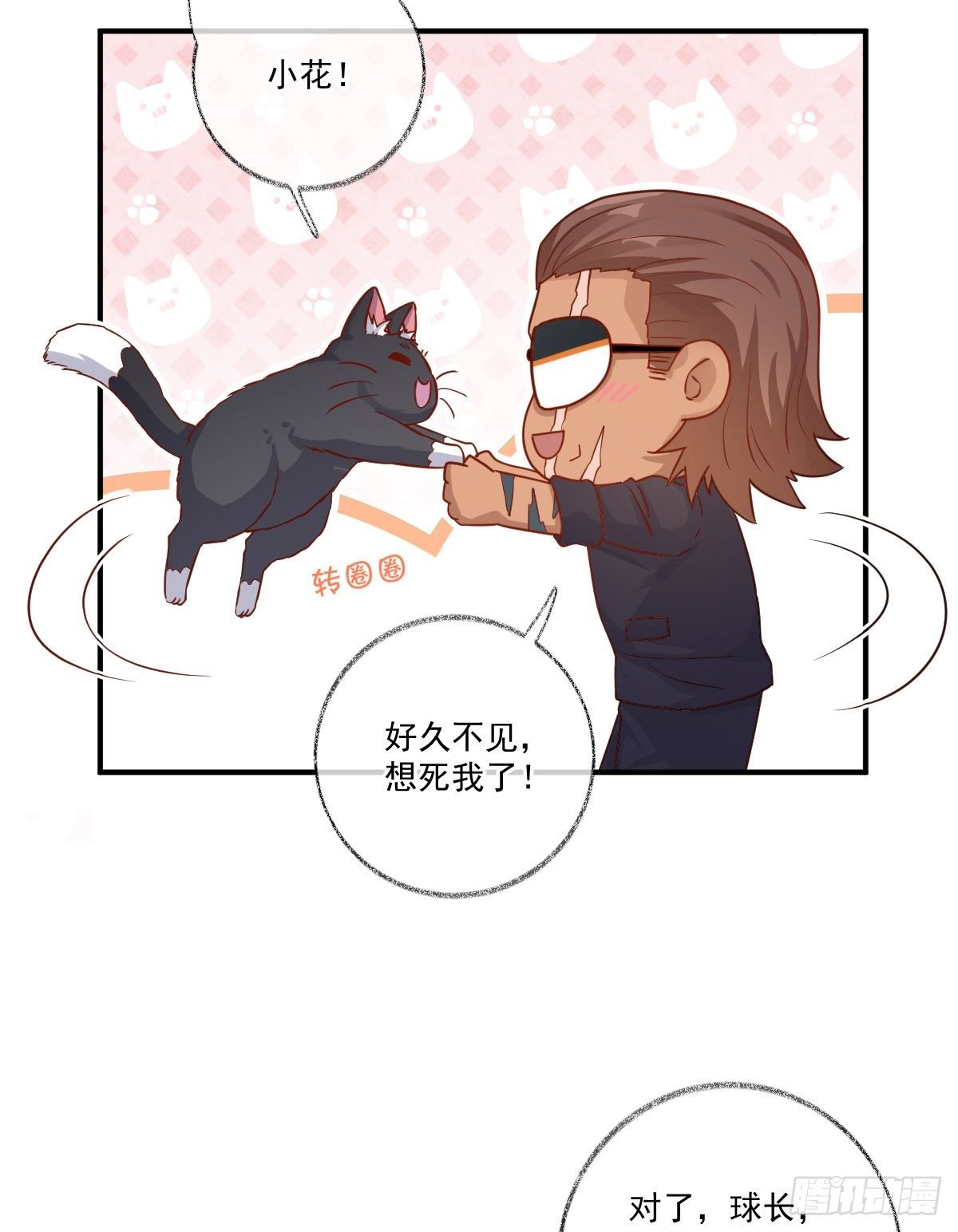 我不绝育喵！