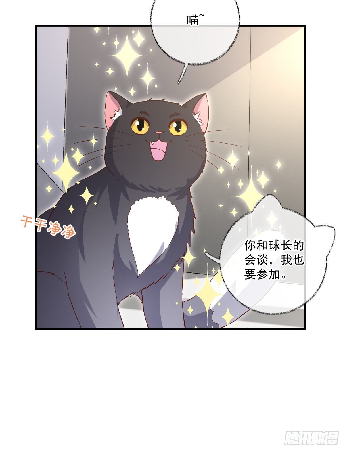 群猫踢馆喵~