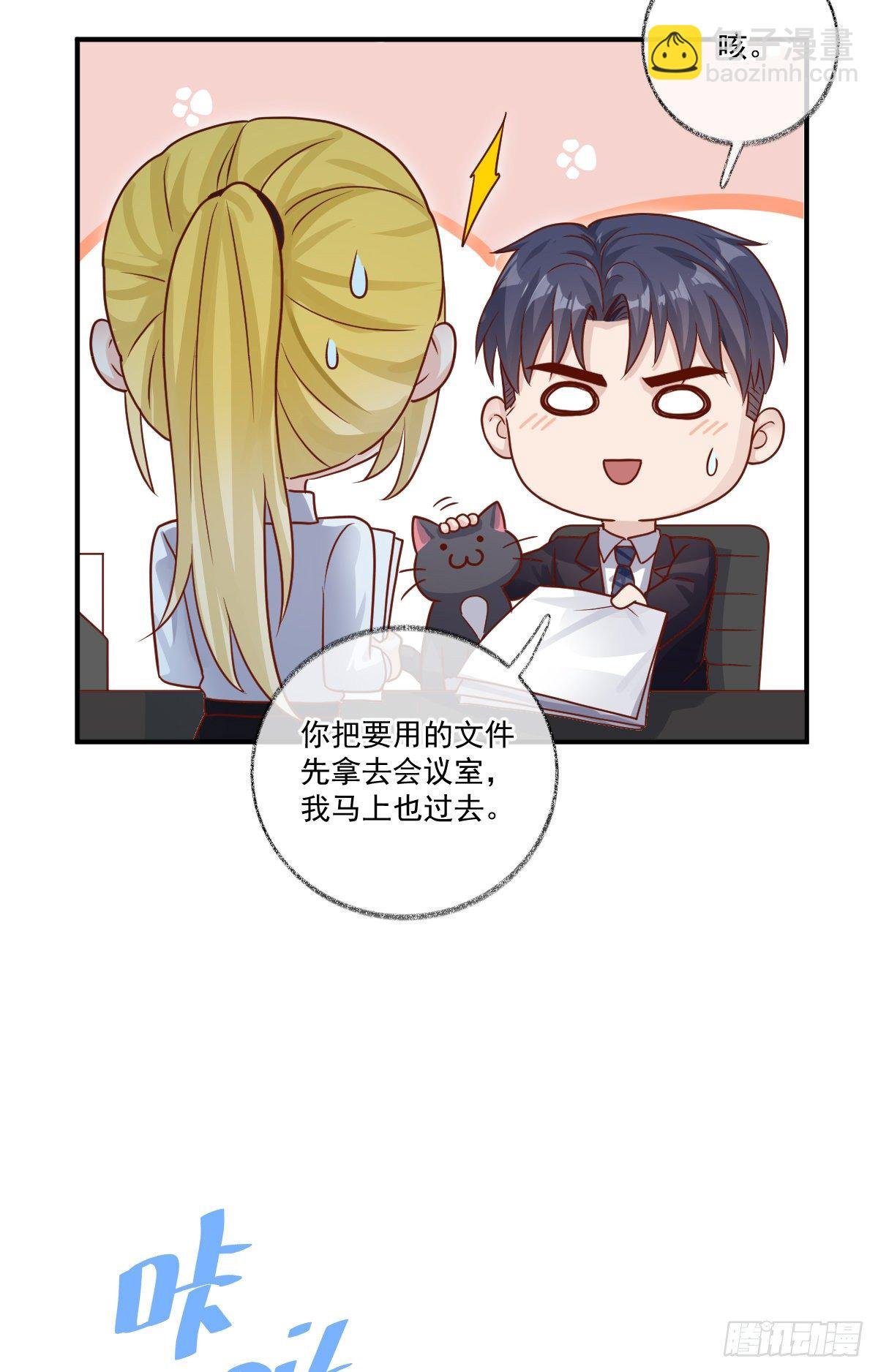 群猫踢馆喵~