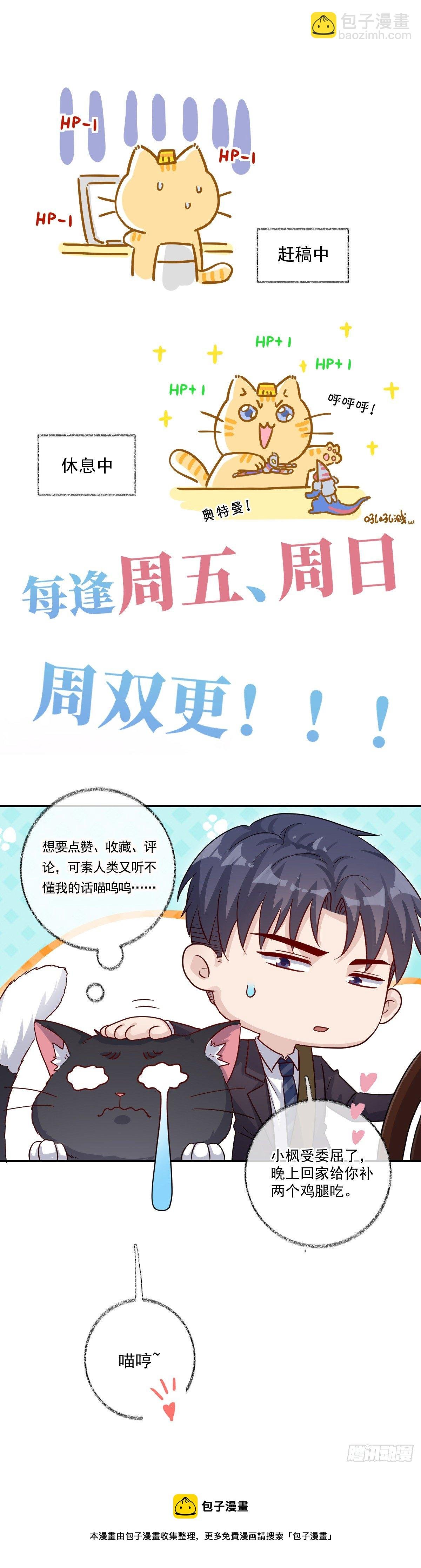 群猫踢馆喵~