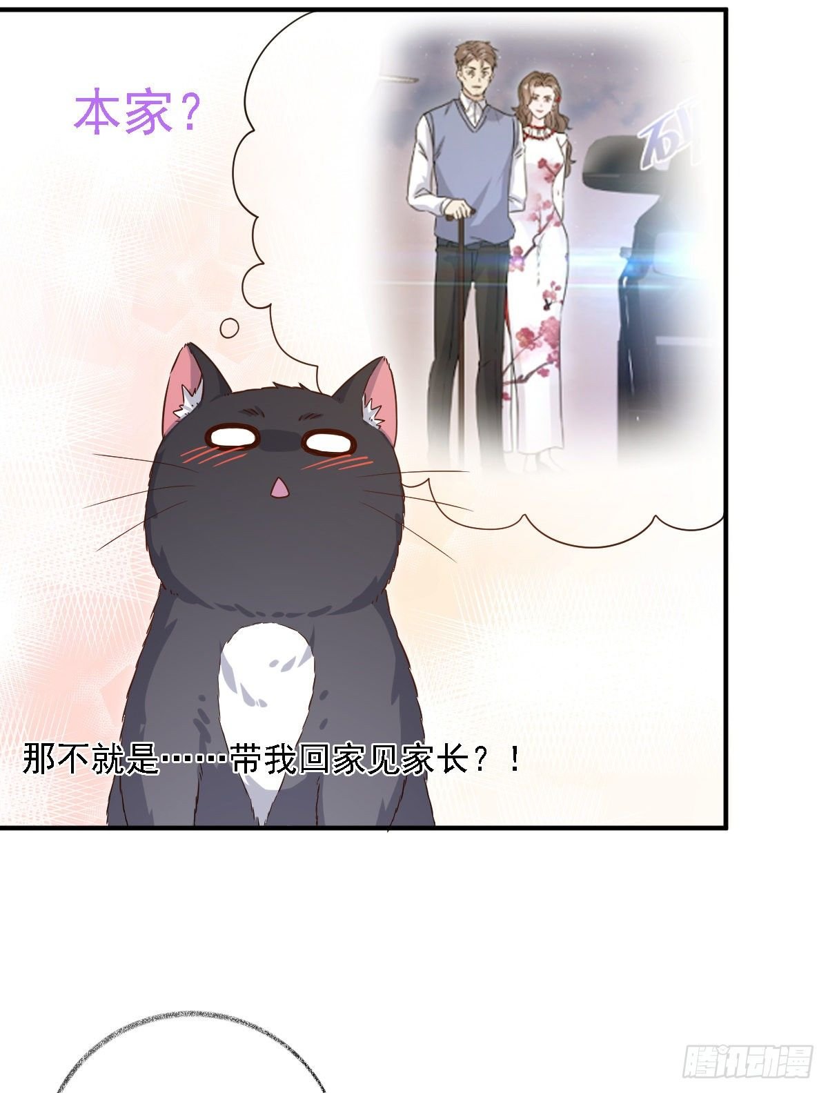 要见家长了怎么办喵？