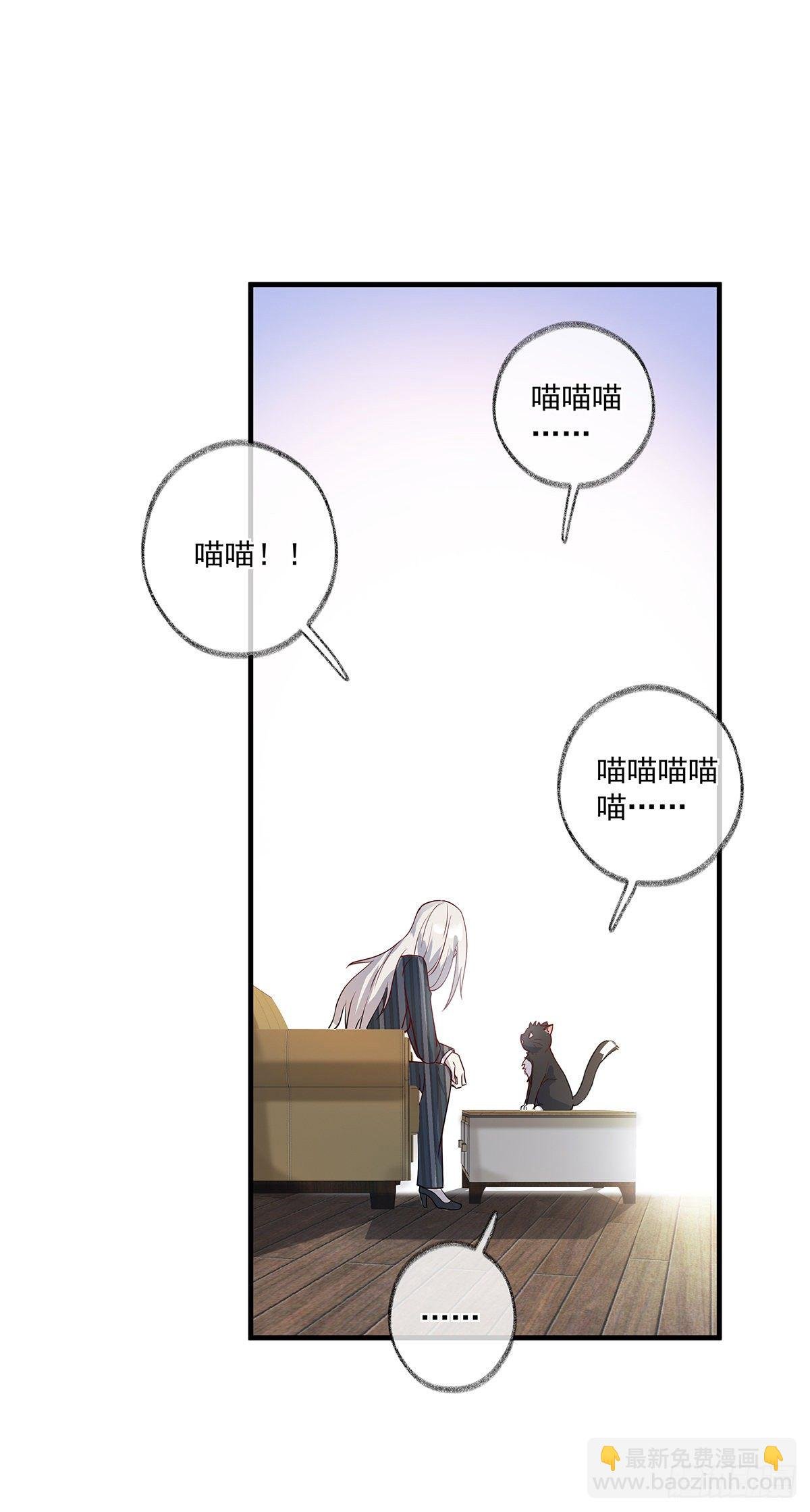 报恩是什么喵~