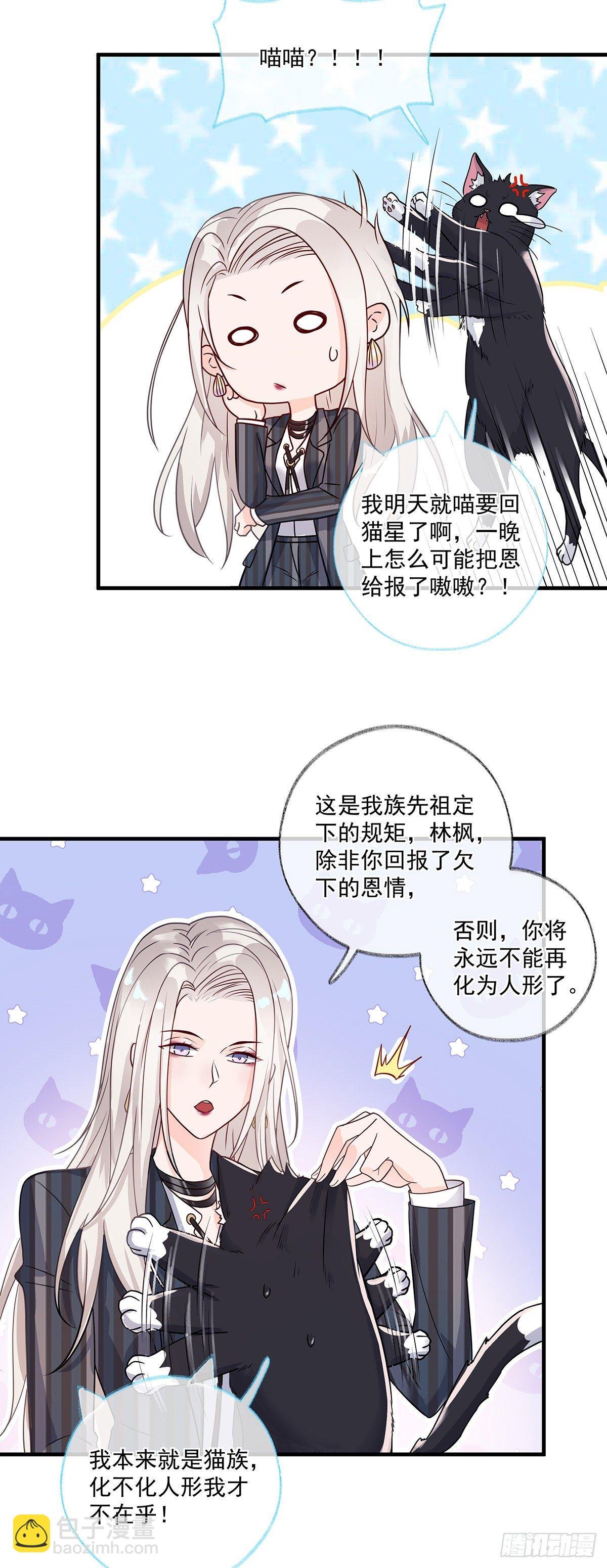 报恩是什么喵~