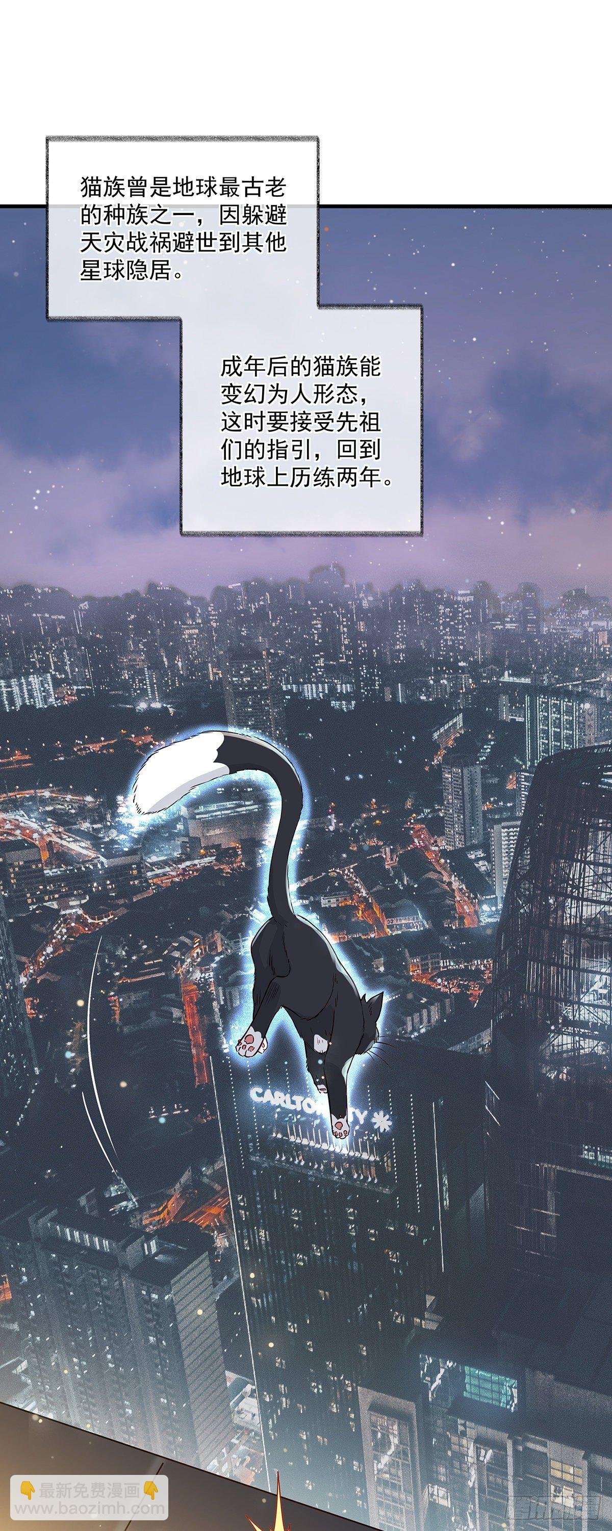 报恩是什么喵~