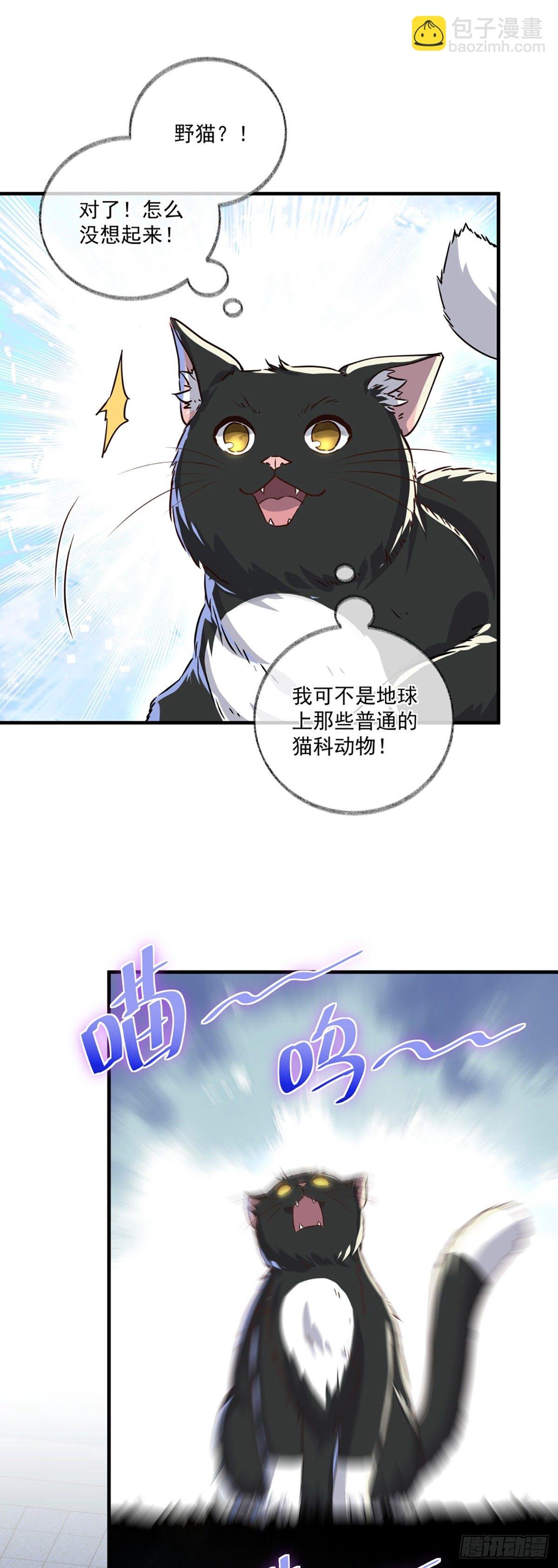 恩人你在哪里呀喵~