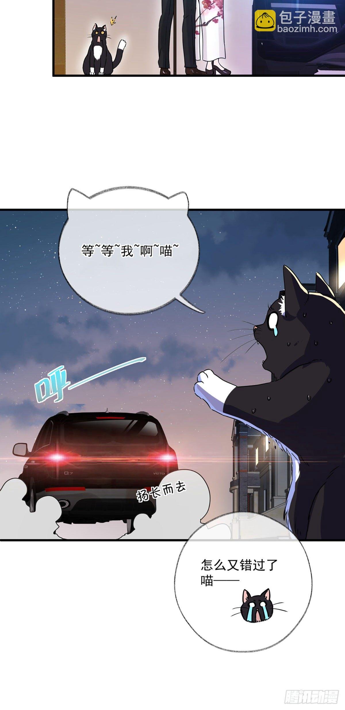 恩人你在哪里呀喵~