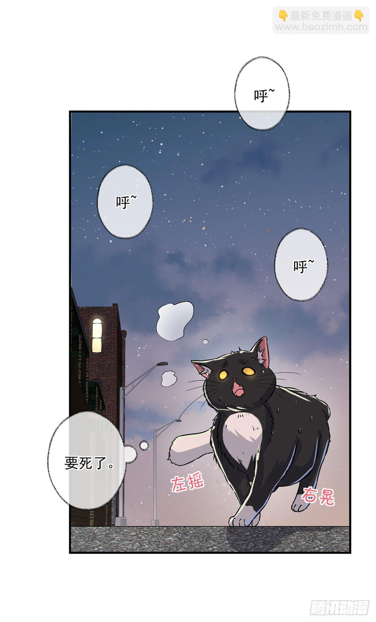 速度与激情喵~