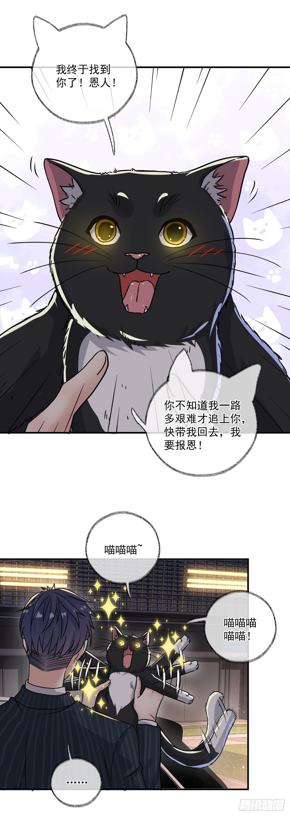 速度与激情喵~