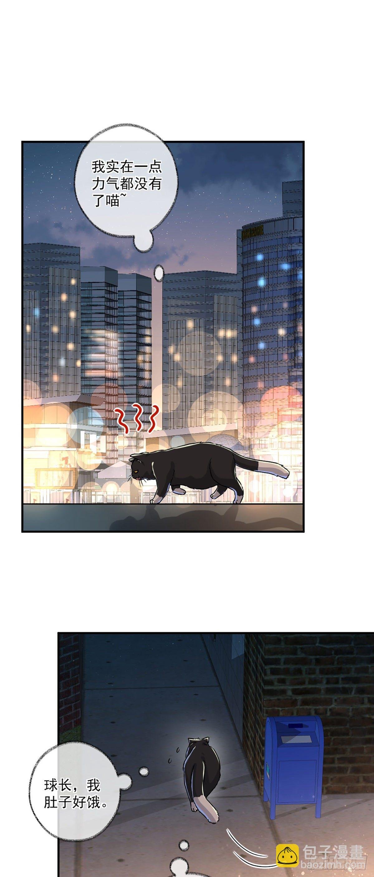 嘀嘀狗车