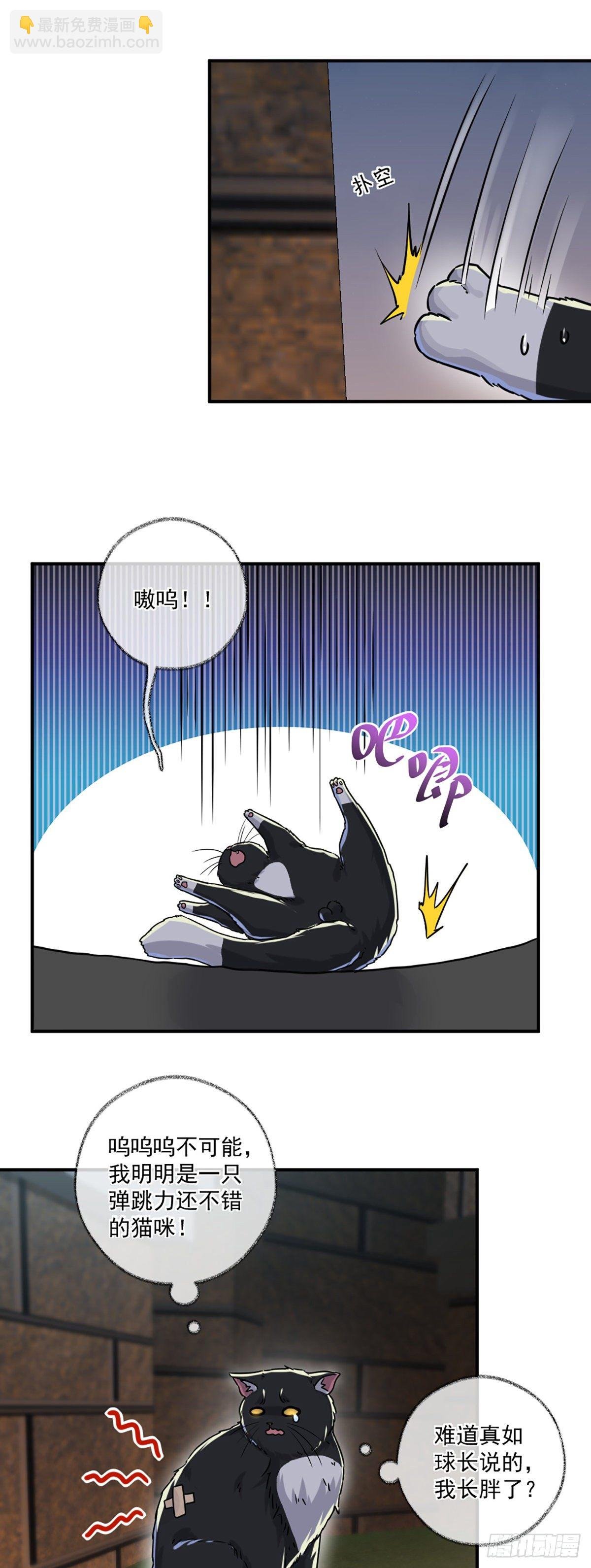 嘀嘀狗车