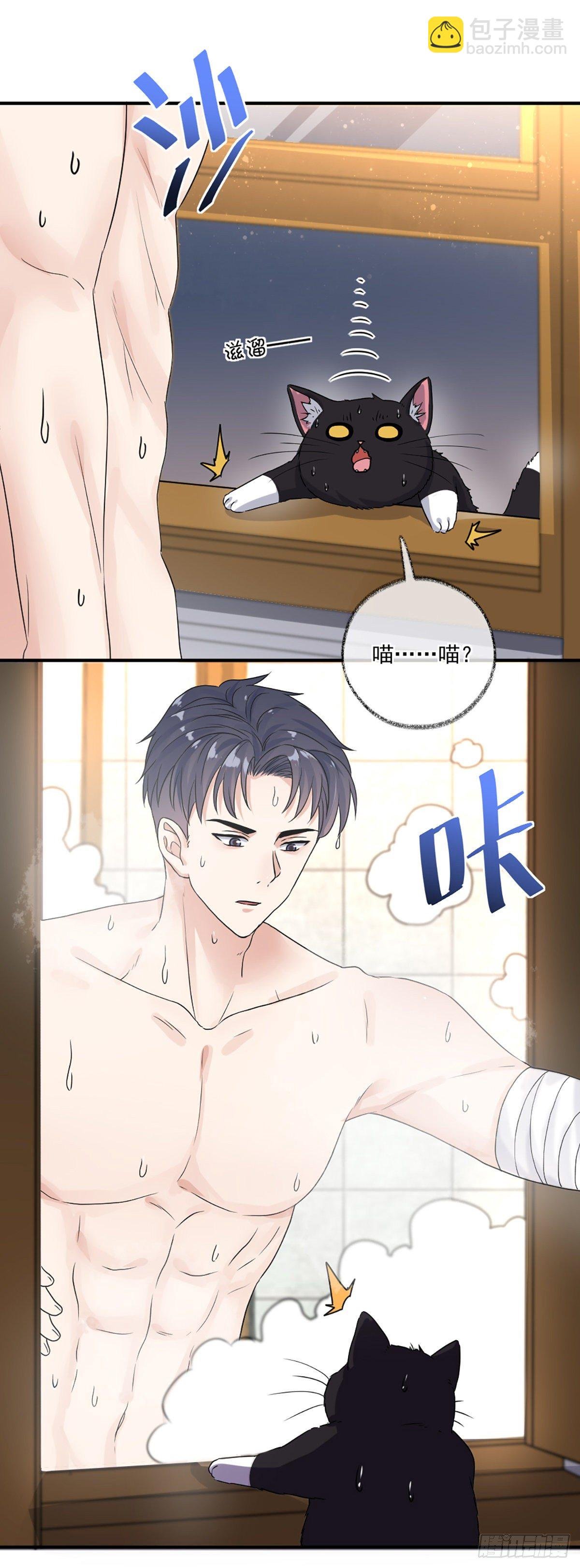 恩人嘴硬心软喵~