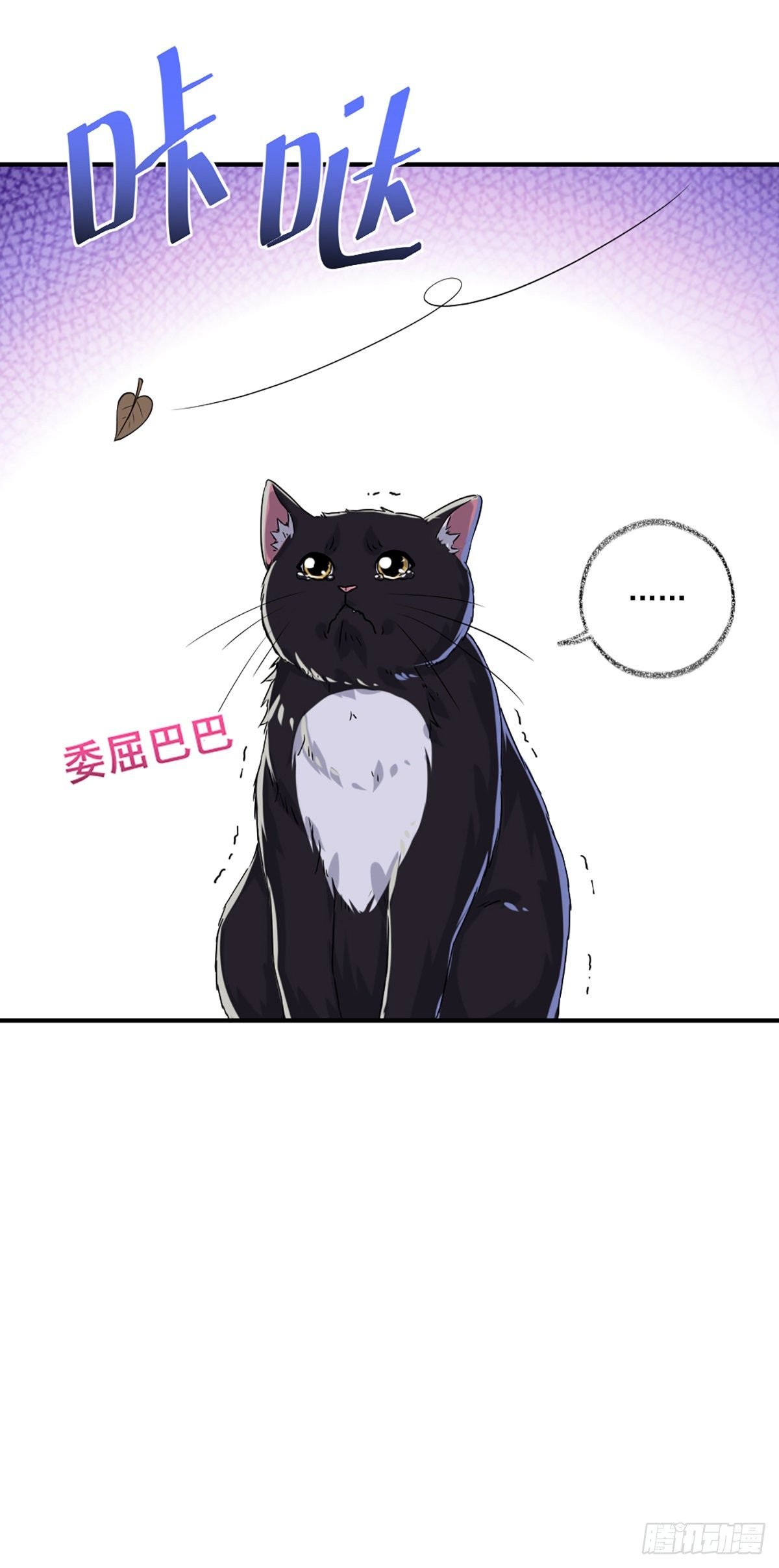 恩人嘴硬心软喵~