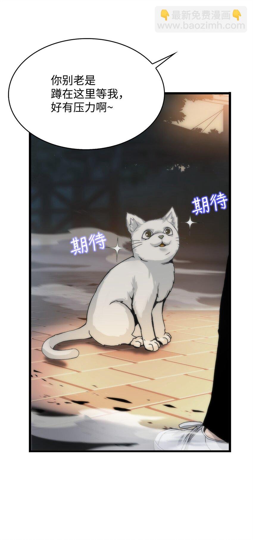01 老虎现身