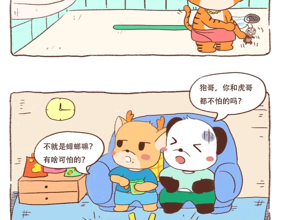 南北方小强不是一个品种