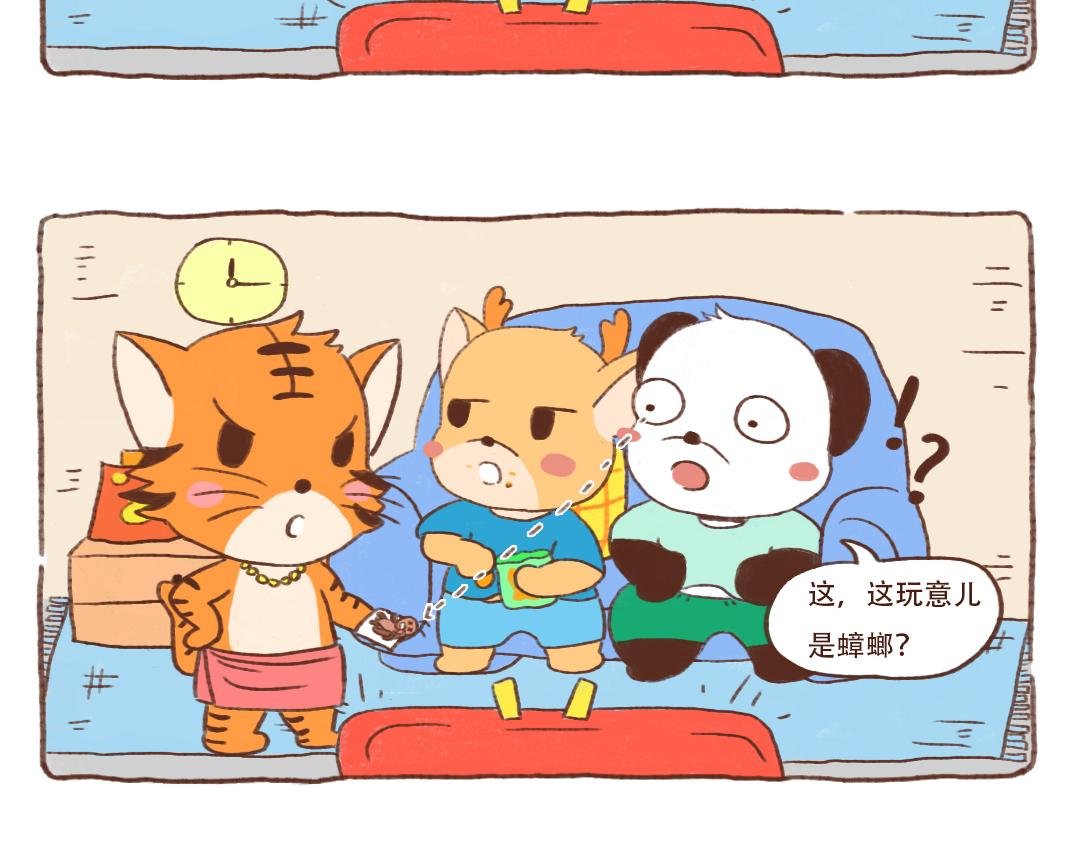 南北方小强不是一个品种
