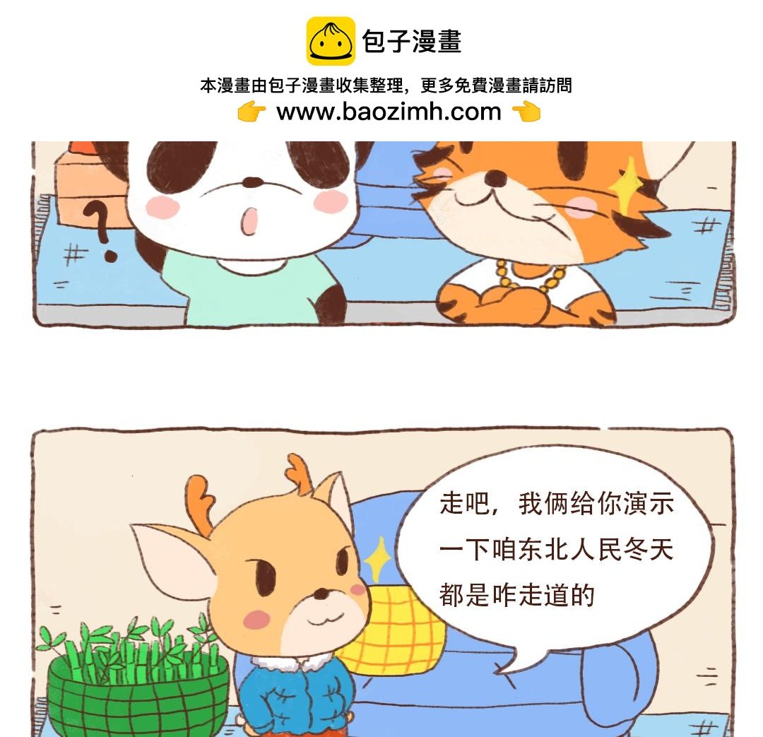 东北金渐层翻车现场