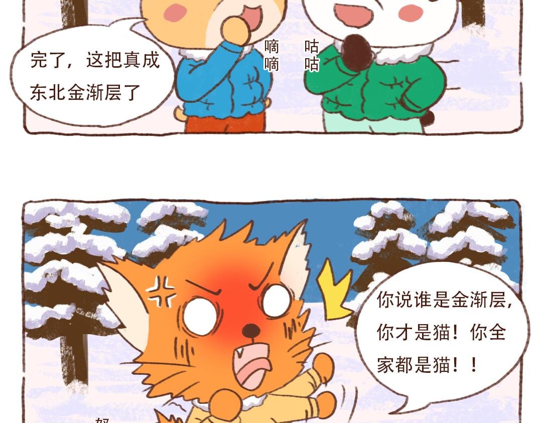 东北金渐层翻车现场