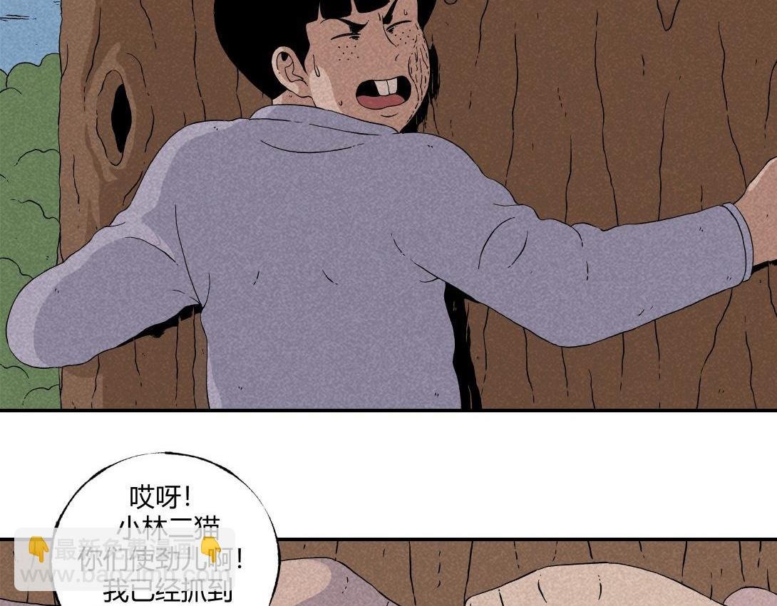 第10话 三人不抱树