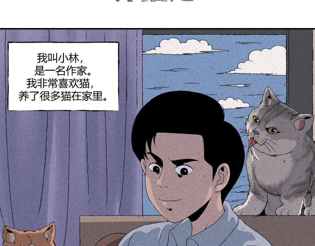 第16话 养猫记