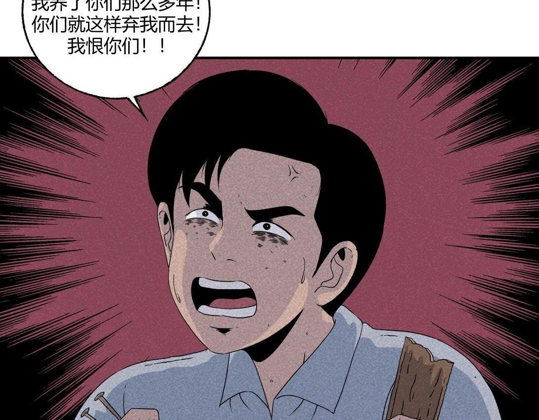 第16话 养猫记