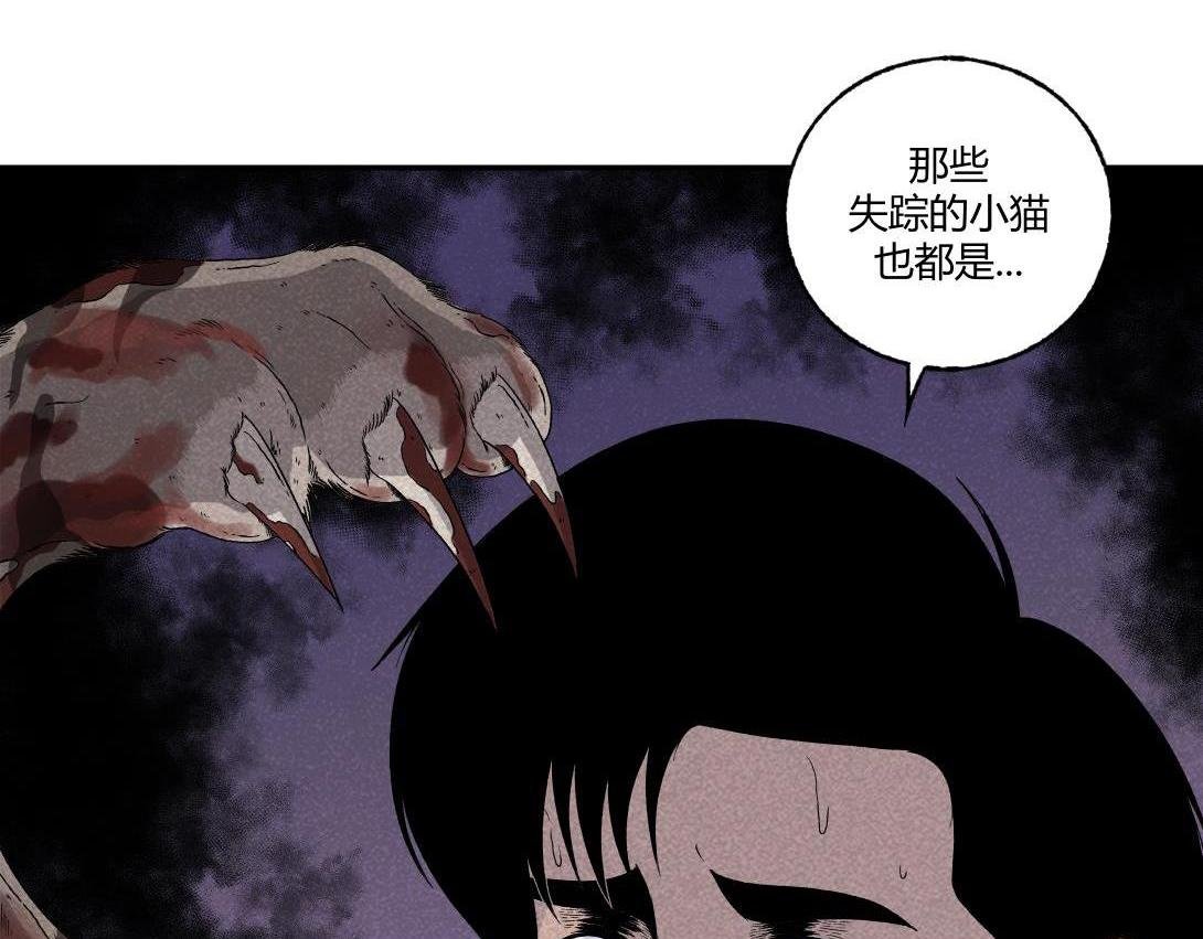 第16话 养猫记