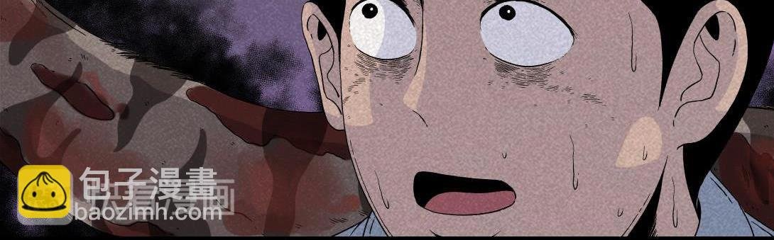 第16话 养猫记