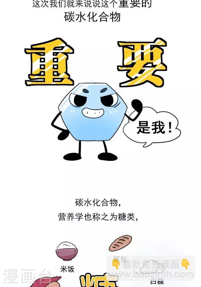 第10话 重要的碳水化合物