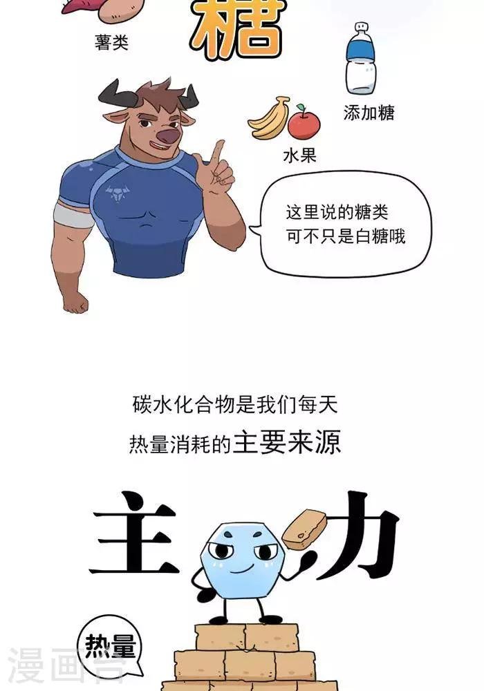 第10话 重要的碳水化合物