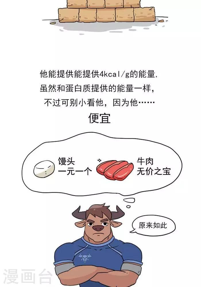 第10话 重要的碳水化合物