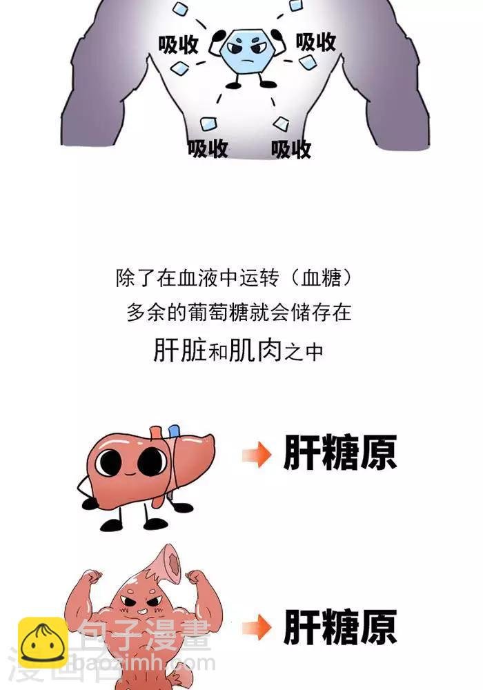 第10话 重要的碳水化合物
