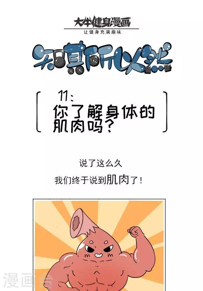 第11话 你对肌肉多了解？