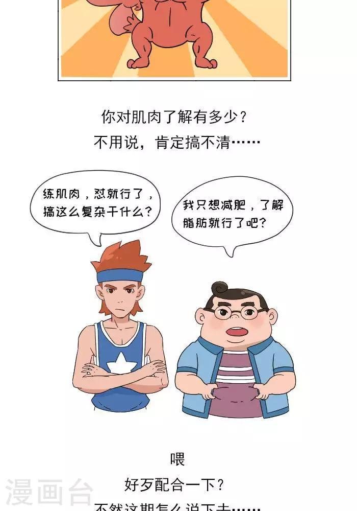 第11话 你对肌肉多了解？