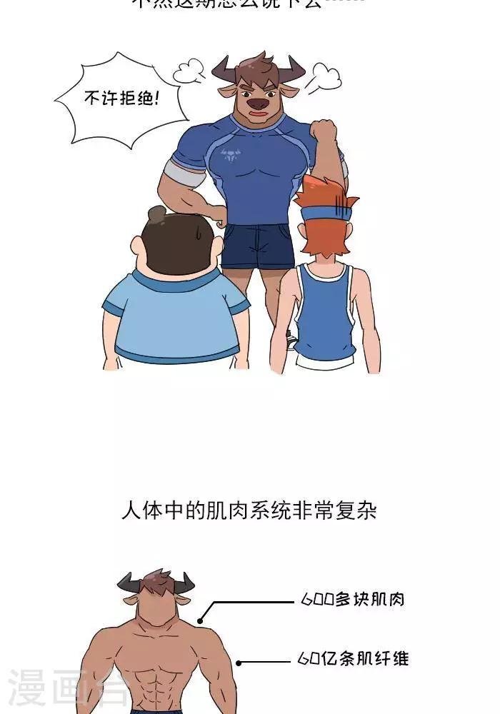 第11话 你对肌肉多了解？