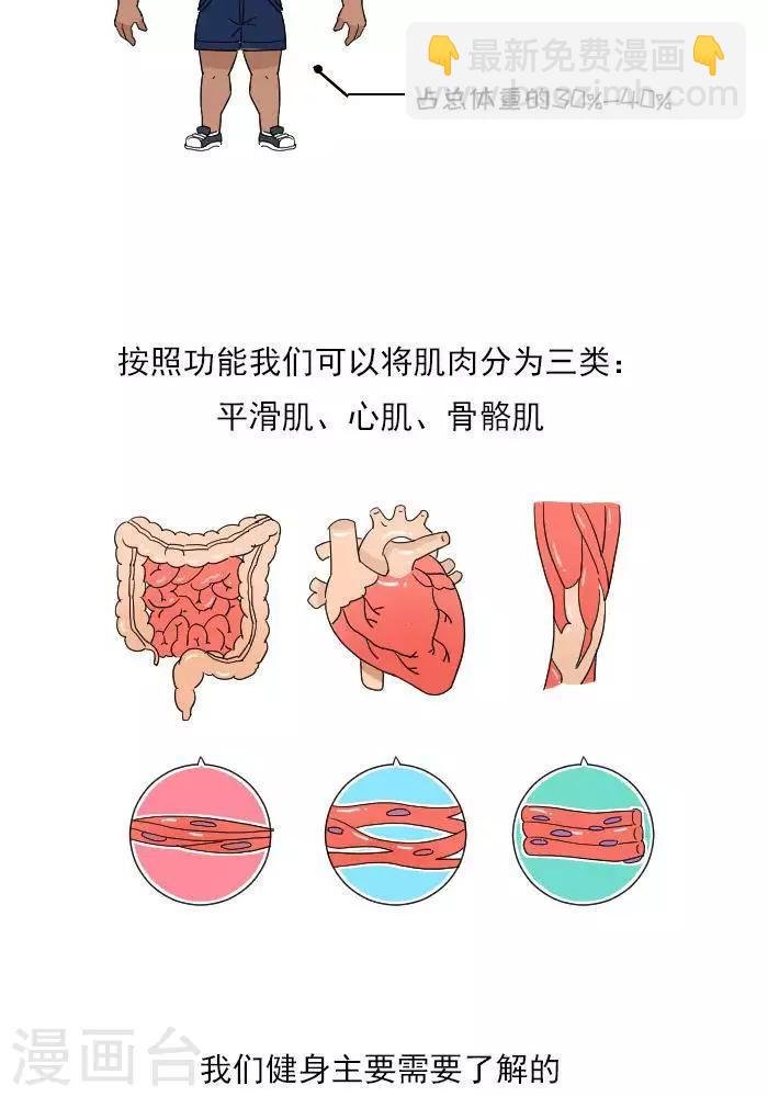 第11话 你对肌肉多了解？