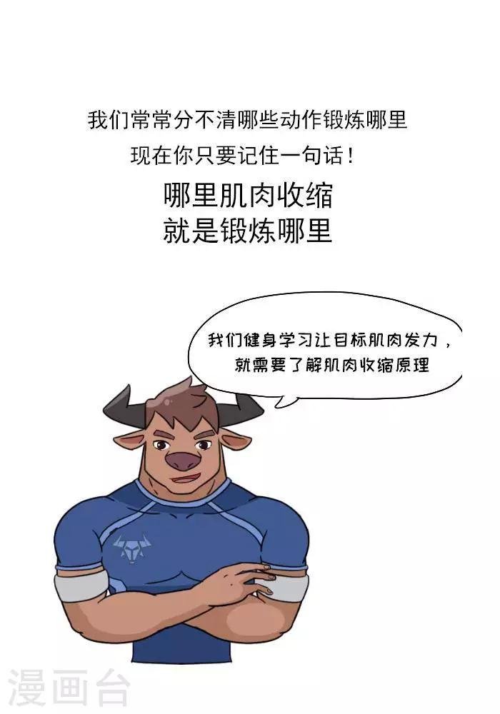第11话 你对肌肉多了解？