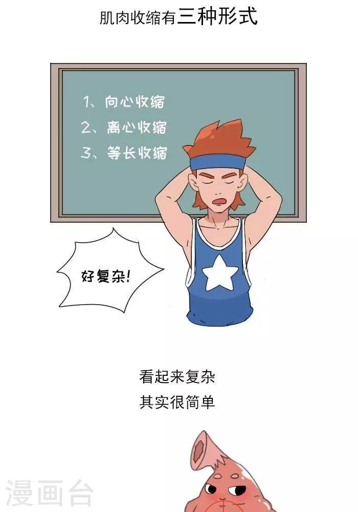 第11话 你对肌肉多了解？