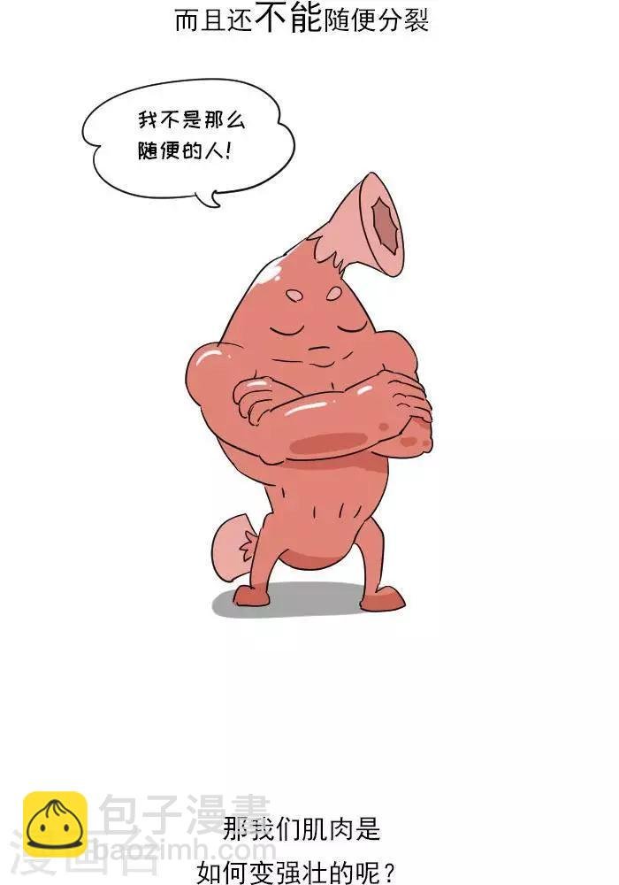 第11话 你对肌肉多了解？