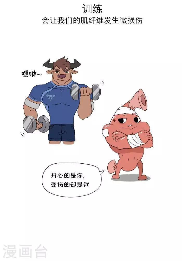 第11话 你对肌肉多了解？