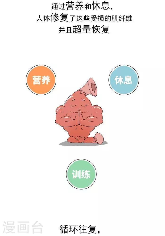 第11话 你对肌肉多了解？