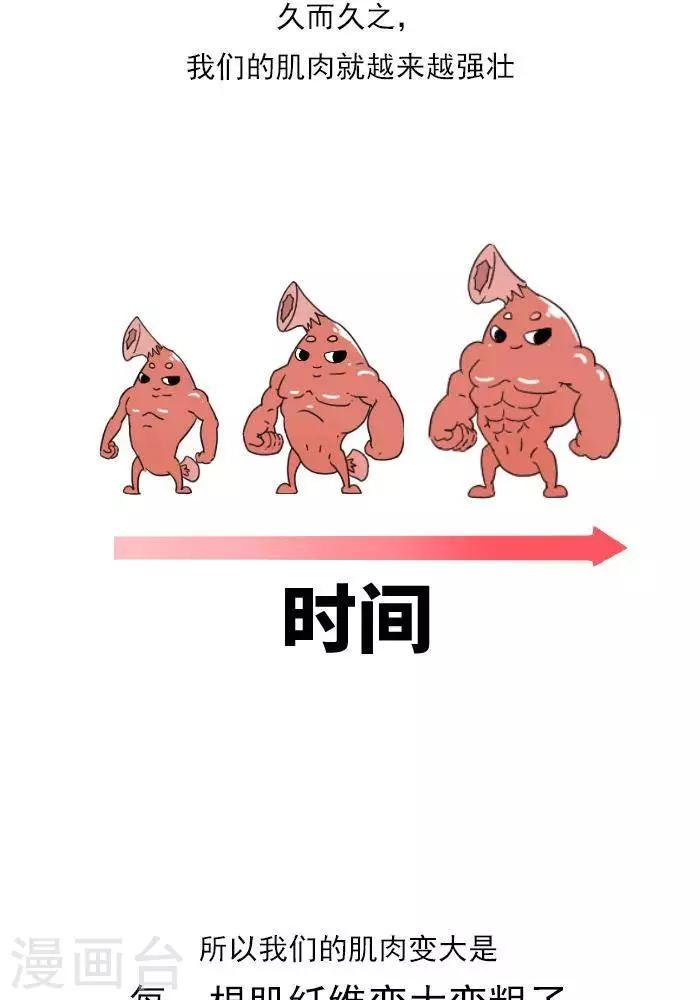 第11话 你对肌肉多了解？
